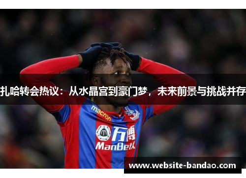 扎哈转会热议：从水晶宫到豪门梦，未来前景与挑战并存