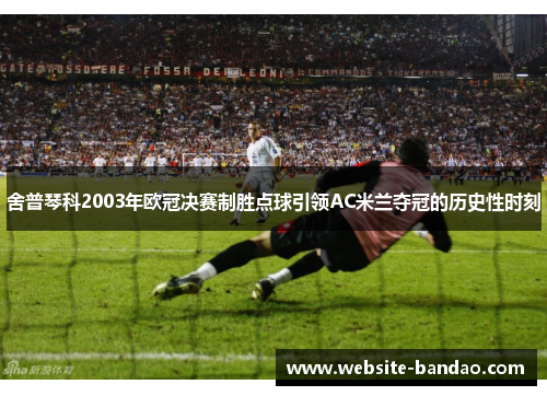 舍普琴科2003年欧冠决赛制胜点球引领AC米兰夺冠的历史性时刻