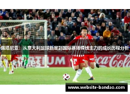 佩塔尼亚：从意大利足球新星到国际赛场锋线主力的成长历程分析