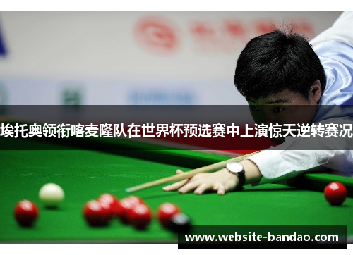 埃托奥领衔喀麦隆队在世界杯预选赛中上演惊天逆转赛况