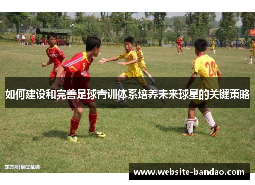 如何建设和完善足球青训体系培养未来球星的关键策略