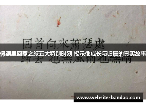 佩德里回家之旅五大特别时刻 揭示他成长与归属的真实故事