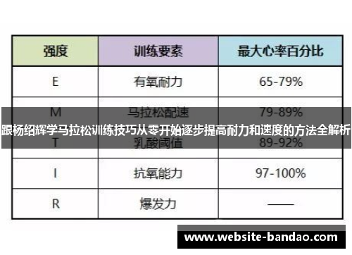 跟杨绍辉学马拉松训练技巧从零开始逐步提高耐力和速度的方法全解析