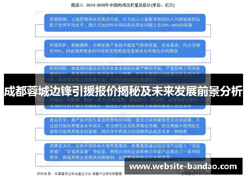 成都蓉城边锋引援报价揭秘及未来发展前景分析