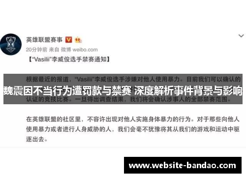 魏震因不当行为遭罚款与禁赛 深度解析事件背景与影响