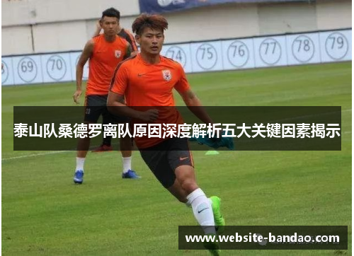 泰山队桑德罗离队原因深度解析五大关键因素揭示