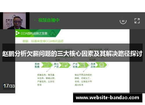赵鹏分析欠薪问题的三大核心因素及其解决路径探讨